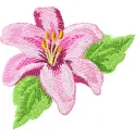 Orchid embroidery design showcasing delicate floral details, perfect for enhancing apparel and home decor.