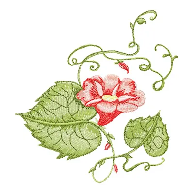 Preview of the Bindweed embroidery design featuring intricate floral motifs ideal for various stitching projects.