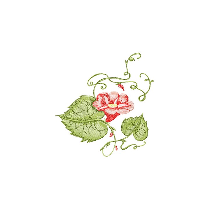 Bindweed  embroidery design - Embroidery Design