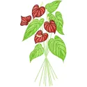 Preview of Australian Flowers embroidery design featuring vibrant floral motifs for creative stitching projects.