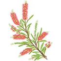 Bottlebrush embroidery design featuring vibrant floral motifs, ideal for embellishing fabric items like tote bags and t-shir…