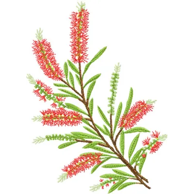 Bottlebrush embroidery design featuring vibrant floral motifs, ideal for embellishing fabric items like tote bags and t-shir…