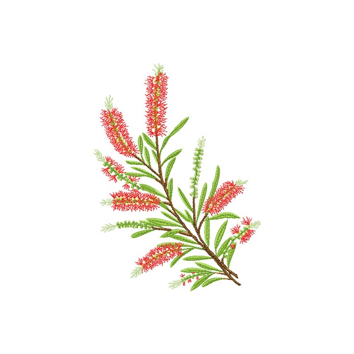 Bottlebrush  embroidery design - Embroidery Design