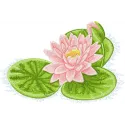 Water Lily embroidery design - Embroidery Design