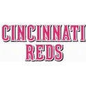Cincinnati Reds Wordmark Logo Stitching Pattern