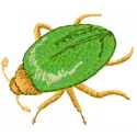 Green Bug Stitching Pattern for Nature Lovers