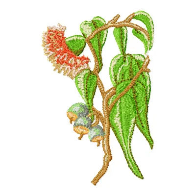 Gumnut Flower  embroidery design - Embroidery Design