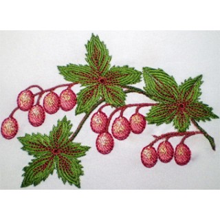 Berries  embroidery design - Embroidery Design
