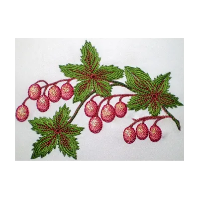 Berries  embroidery design - Embroidery Design
