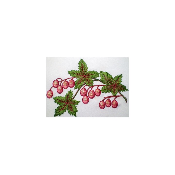 Berries  embroidery design - Embroidery Design