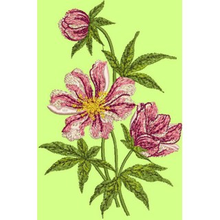 Cosmos  embroidery design - Embroidery Design