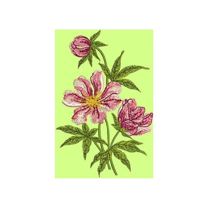 Cosmos  embroidery design - Embroidery Design