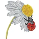 Embroidery design featuring a ladybug on a chamomile flower, showcasing intricate stitching and vibrant colors.