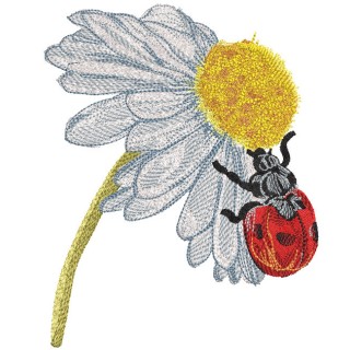 Ladybug on chamomile embroidery design - Embroidery Design