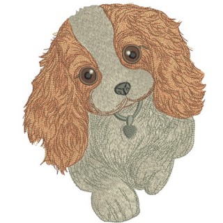 Adorable Cocker Spaniel puppy embroidery design - Embroidery Design