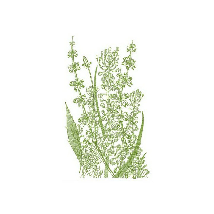 Sketch of field flowers embroidery design - Embroidery Design