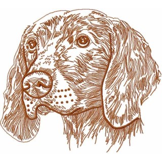Retriever gold embroidery design - Embroidery Design