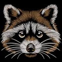 Raccoon Wildlife Charm embroidery design featuring a detailed raccoon illustration among woodland elements.