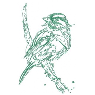 Robin bird sketch embroidery design - Embroidery Design