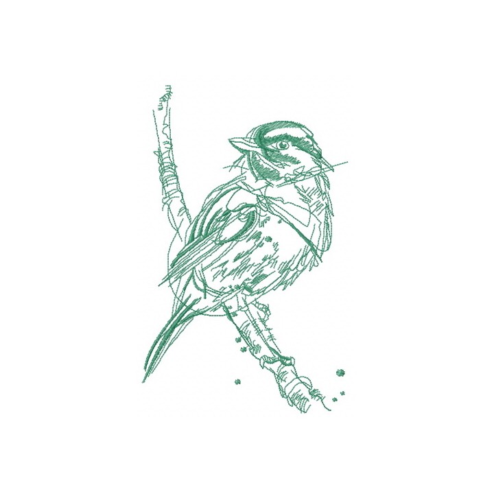 Robin bird sketch embroidery design - Embroidery Design