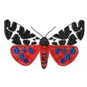 Arctia caja butterfly embroidery design with detailed wing patterns and stitching