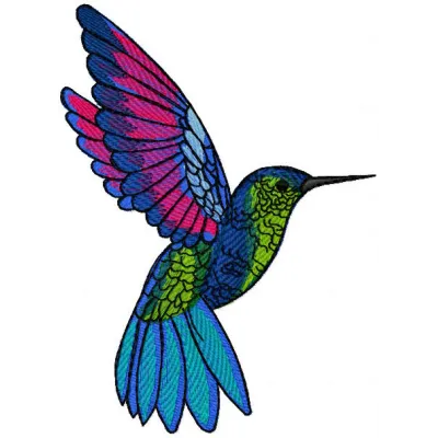 Hummingbird Stitching Pattern - Vibrant Avian Design
