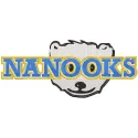 Embroidered Alaska Nanooks Wordmark Logo design featuring bold blue and gold lettering on a white background.