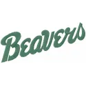 Bemidji State Beavers Wordmark Logo Stitching Pattern