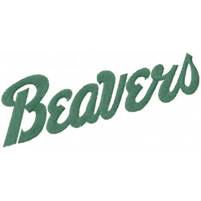 Bemidji State Beavers Wordmark Logo Stitching Pattern