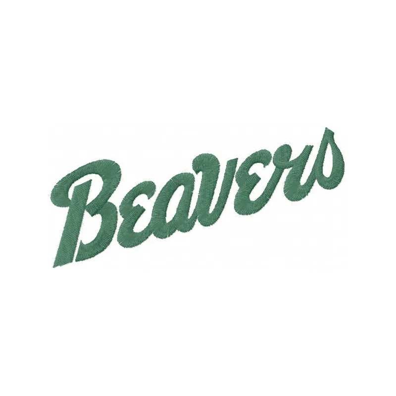 Bemidji State Beavers Wordmark Logo Stitching Pattern