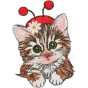 Kitten in Ladybug Costume Stitching Pattern