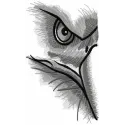 Eagle Gaze Stitching Pattern for Men's Apparel