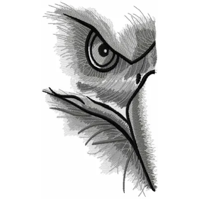Eagle Gaze Stitching Pattern for Men's Apparel