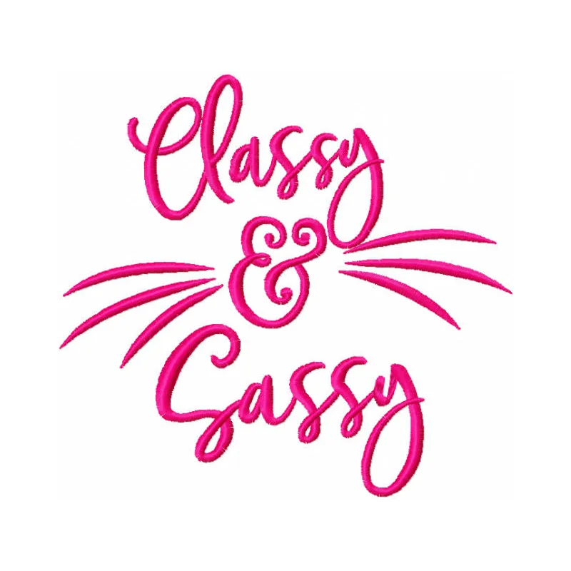 Sassy Kitty Quote Stitching Pattern for Crafters