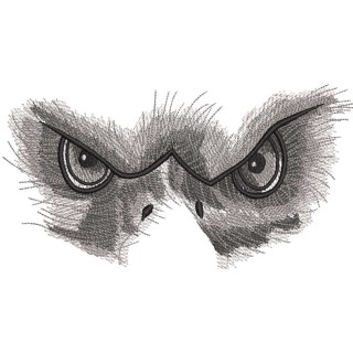 Eagle glance embroidery design - Embroidery Design