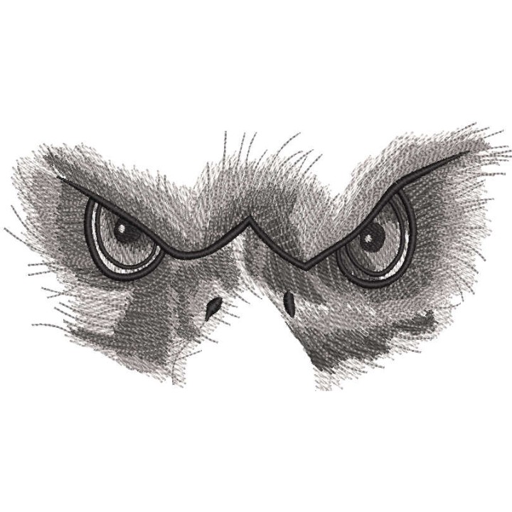 Eagle glance embroidery design - Embroidery Design