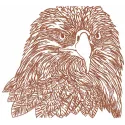 Eagle Head Sketch Stitching Pattern for Bird Lovers
