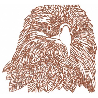 Eagle head sketch embroidery design - Embroidery Design