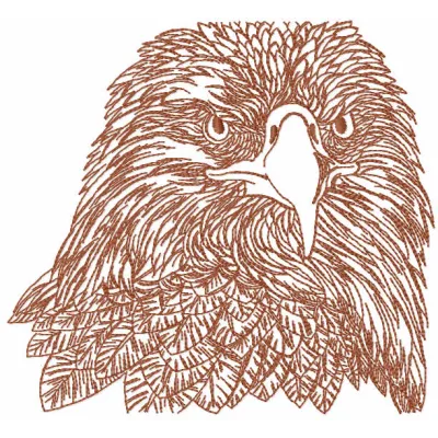 Eagle Head Sketch Stitching Pattern for Bird Lovers