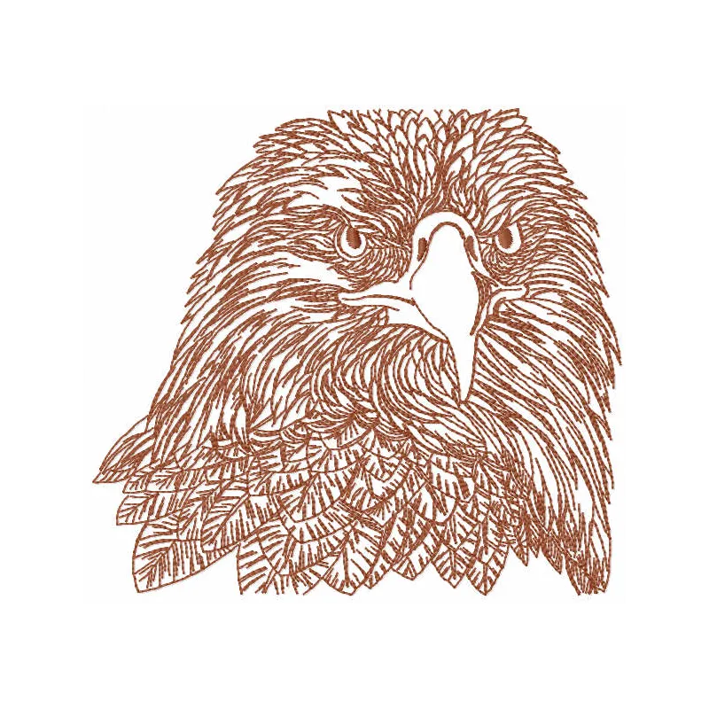 Eagle Head Sketch Stitching Pattern for Bird Lovers