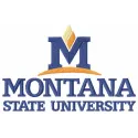 Montana State University Logo Stitching Pattern