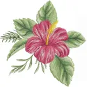 Vibrant Hibiscus Bloom Embroidery with Tropical Flair