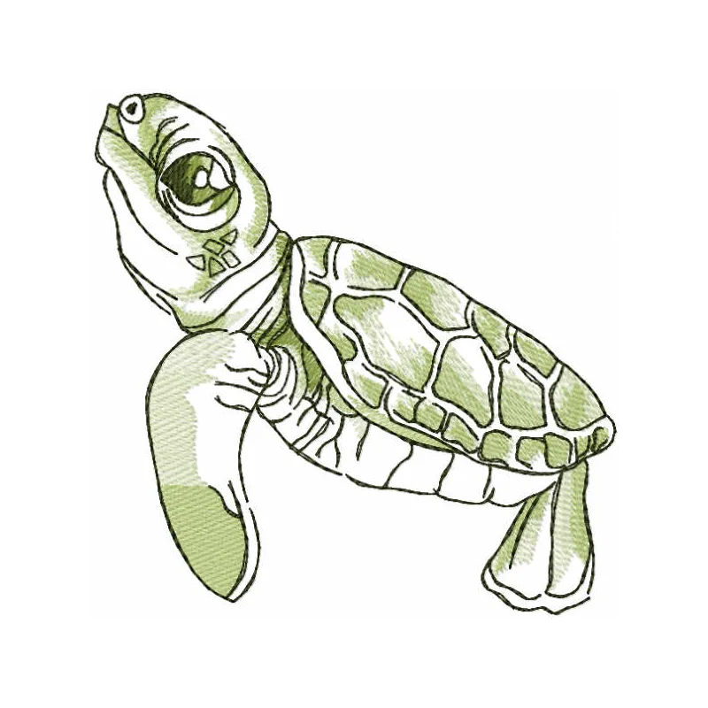 Green turtle embroidery design - Embroidery Design
