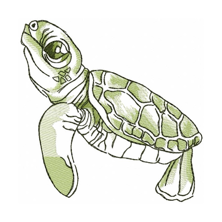 Green turtle embroidery design - Embroidery Design