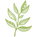 Green patterned branch embroidery design featuring intricate floral details on a light fabric background.