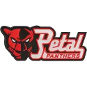 Large embroidery design featuring the Petal Panthers logo, showcasing vibrant colors and detailed stitching.