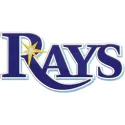 Tampa Bay Rays primary logo embroidery design