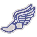 Winged Running Shoe embroidery design featuring intricate stitching and vibrant colors on a fabric background.