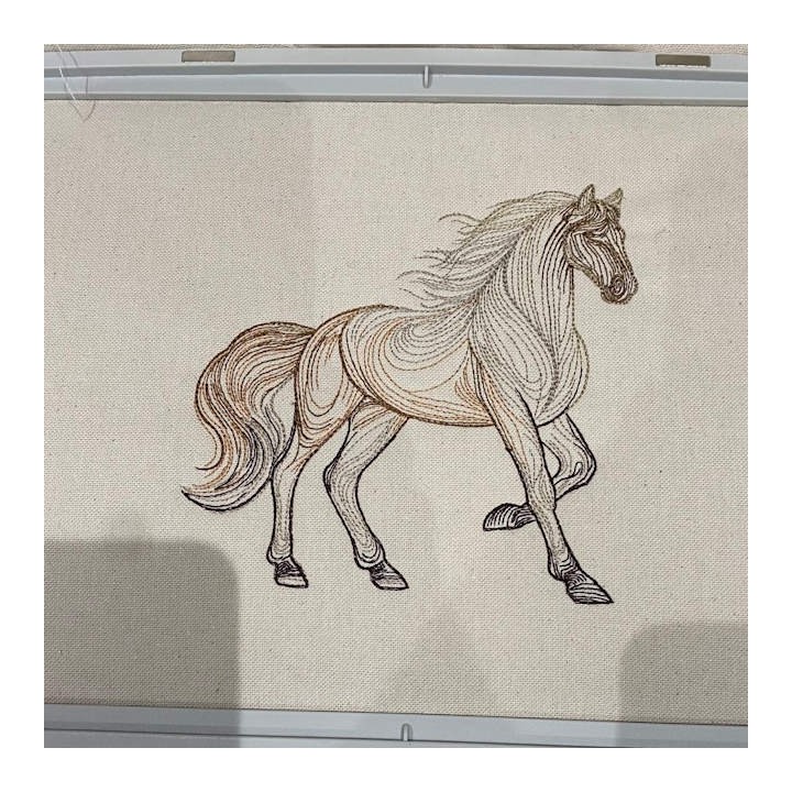 Rainbow Horse Sketch Embroidery Design - Vibrant Art