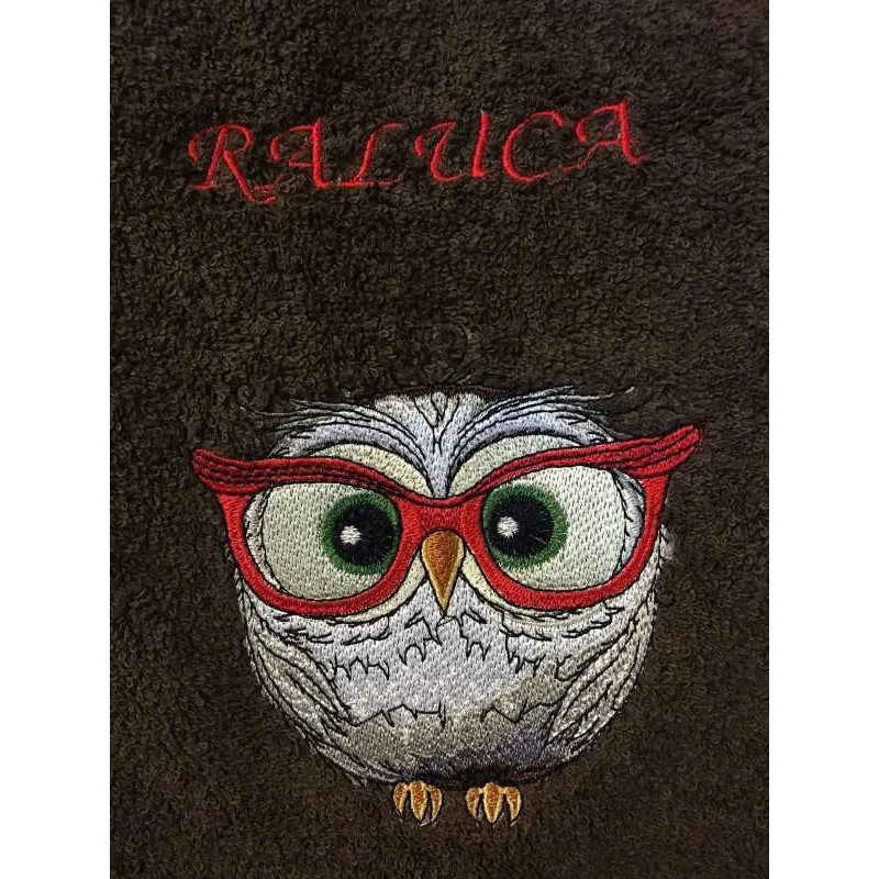 Owl in glasses embroidery design preview showing stitched details on fabric